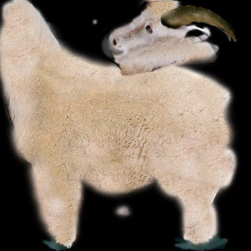 Moutain Goat