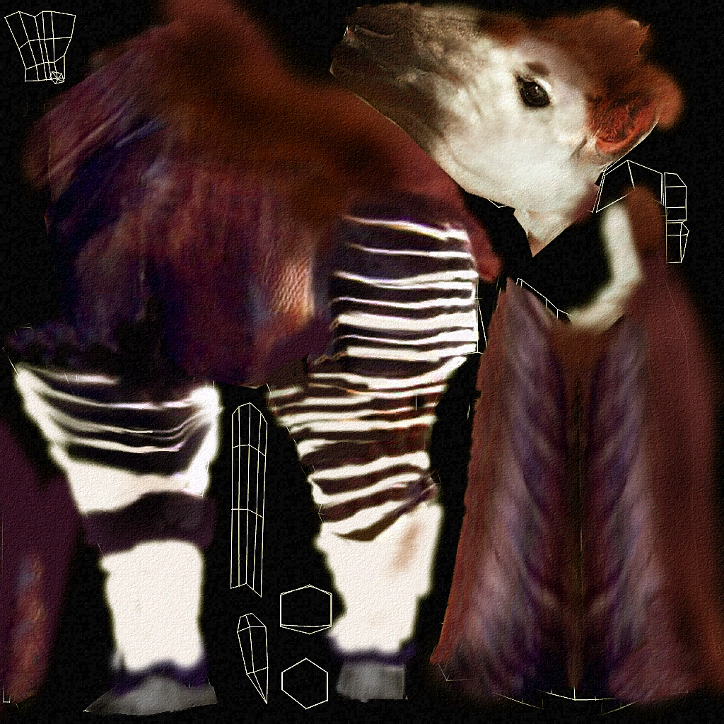 Okapi