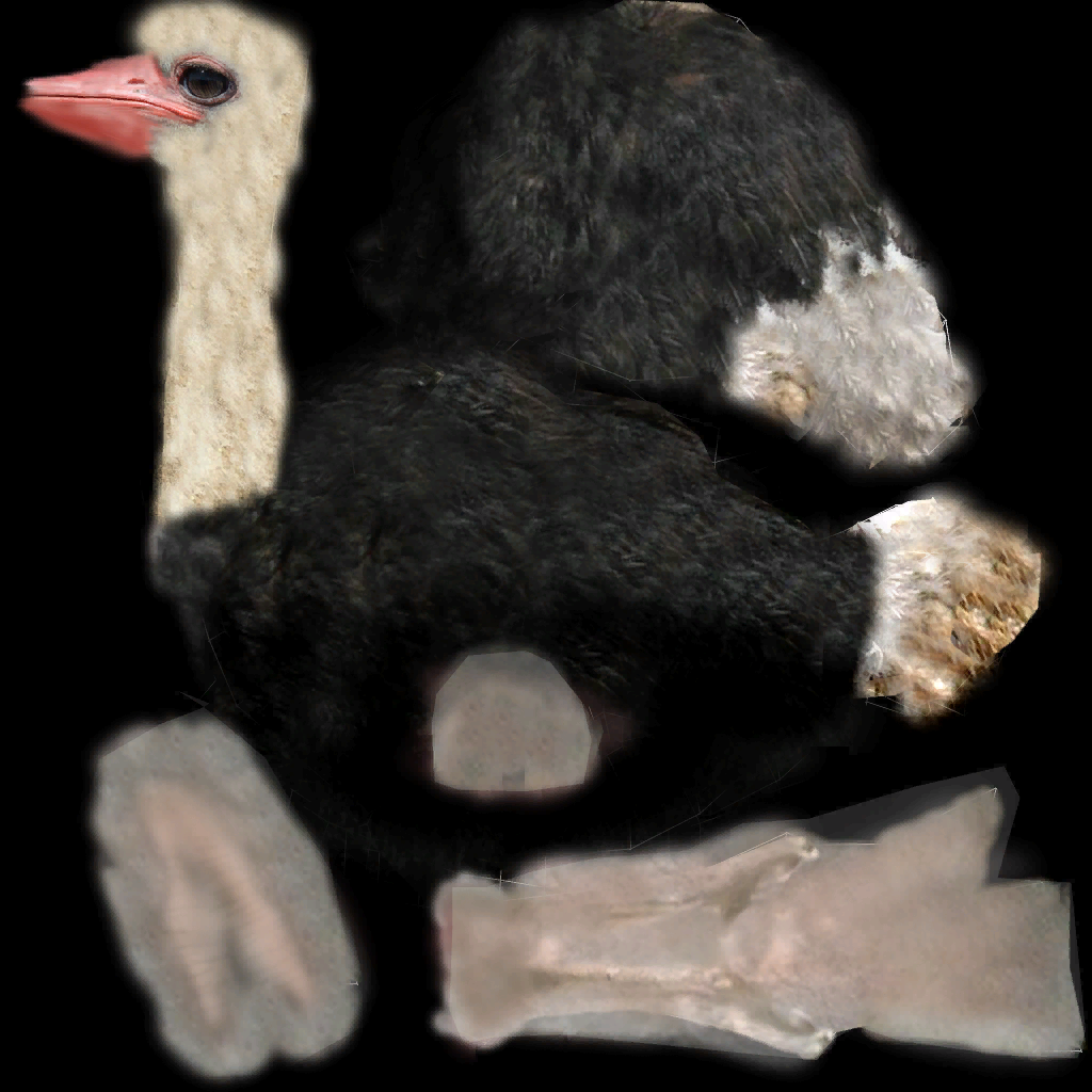 Ostrich♂