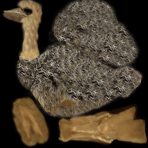 Ostrich (Offspring)
