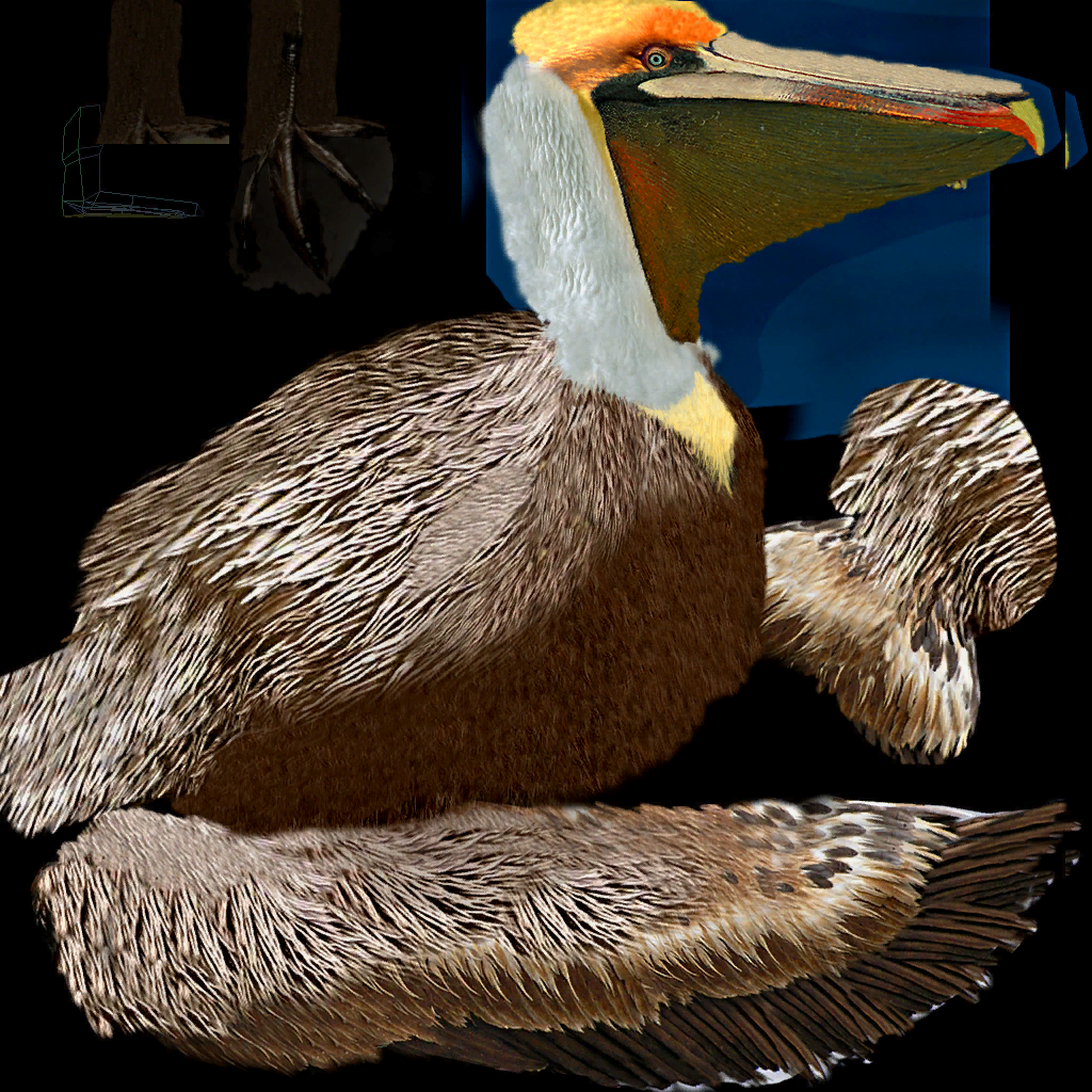 Wildlife Park 2 - Pelican