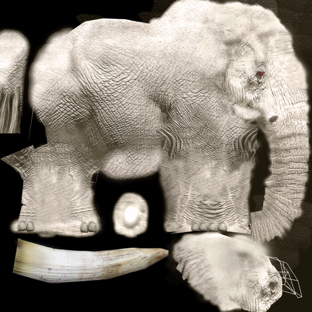 African Elephant (Albinism)