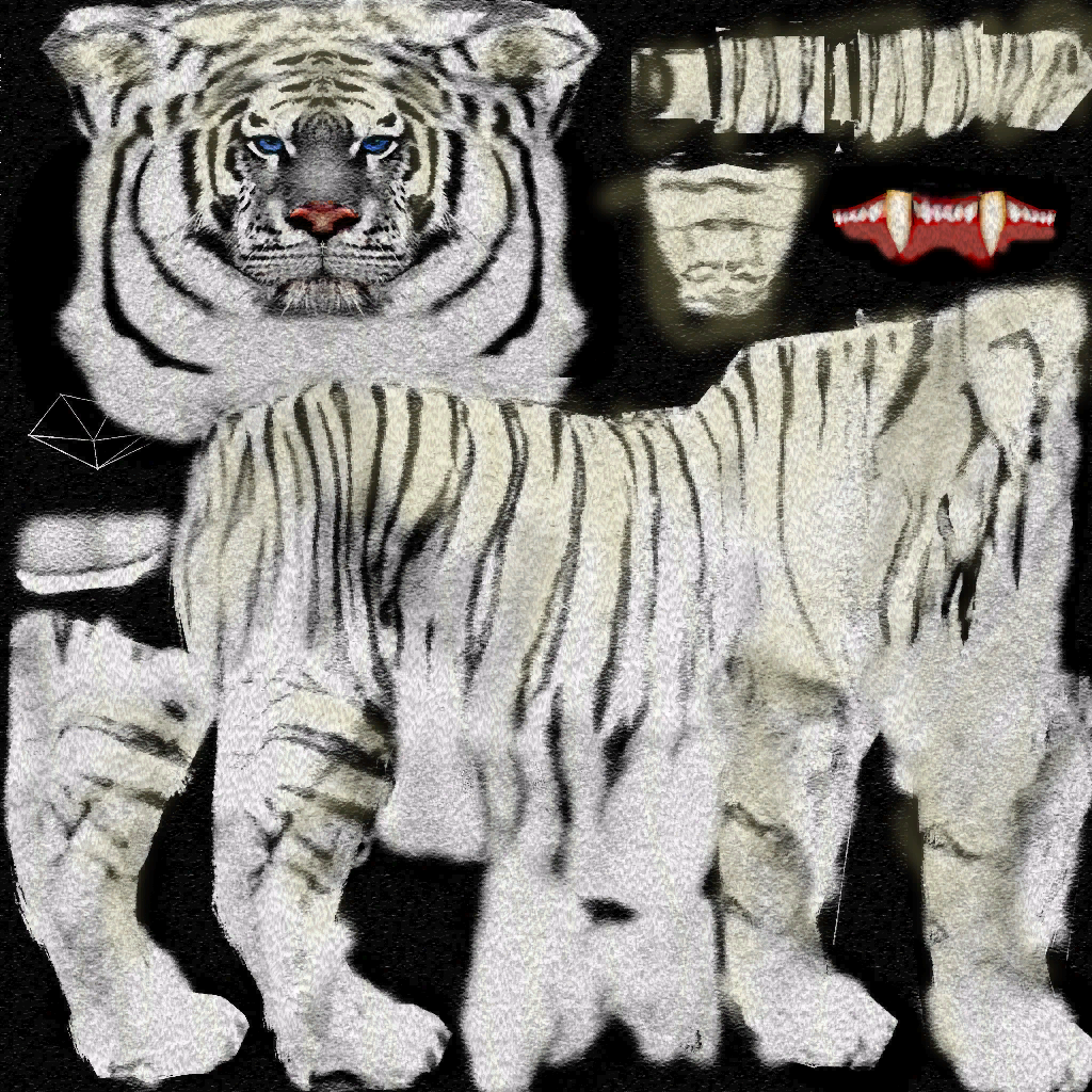 Bengal Tiger (Albinism)