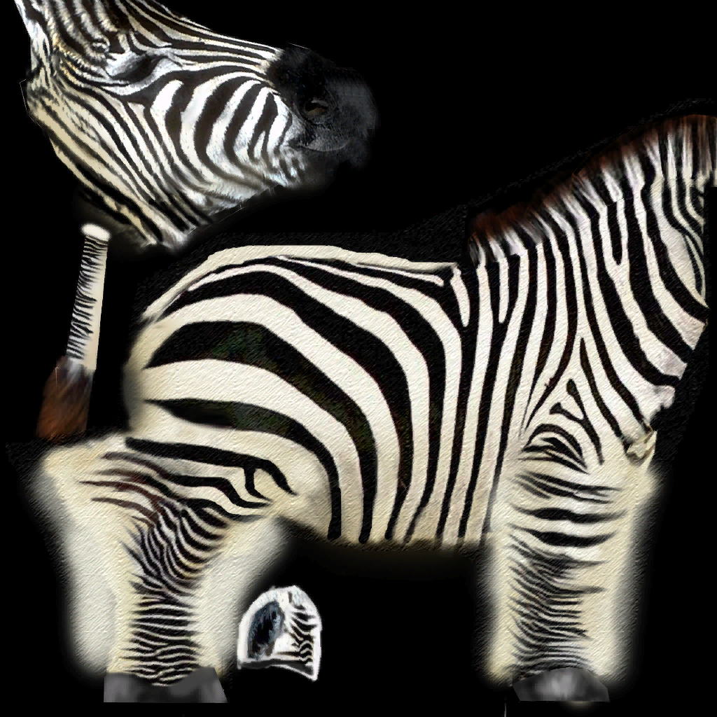 Burchell's Zebra