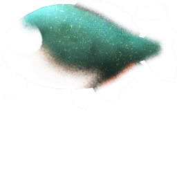 Megaquarium - Red-Bellied Piranha