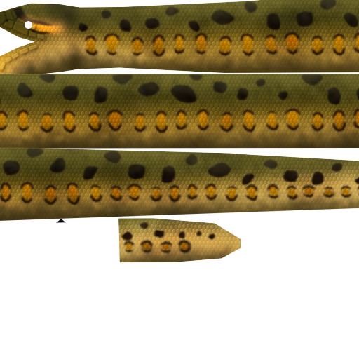 Megaquarium - Green Anaconda