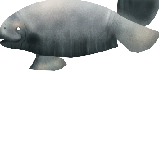 Megaquarium - Manatee