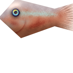 Megaquarium - Fish Fry