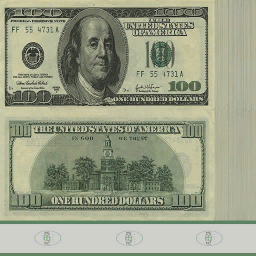 One Hundred Dollar Bill