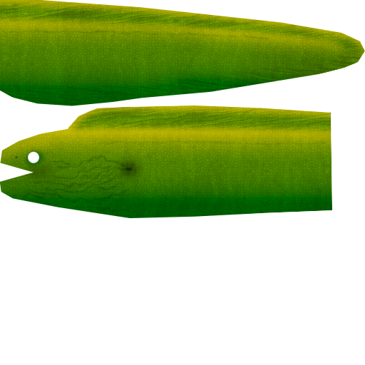 Megaquarium - Green Moray Eel