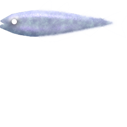 Megaquarium - Blue Whiting