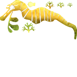 Megaquarium - Leafy Seadragon