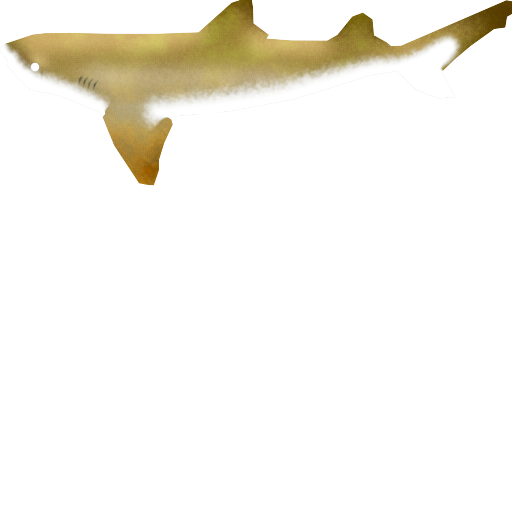 Megaquarium - Lemon Shark