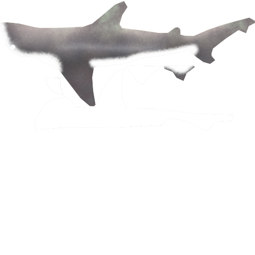 Megaquarium - Bonnethead Shark