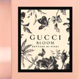 Gucci Bloom Perfume