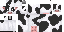 Dairy Cow