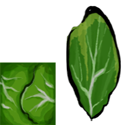 Lettuce