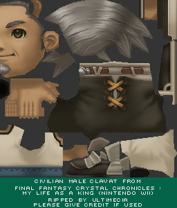 Final Fantasy Crystal Chronicles: My Life as a King - Clavat - Male - Civilian