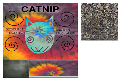 Postal 2 - Catnip