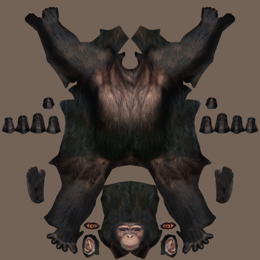 Cell to Singularity - Evolution Never Ends - Chimpanzee