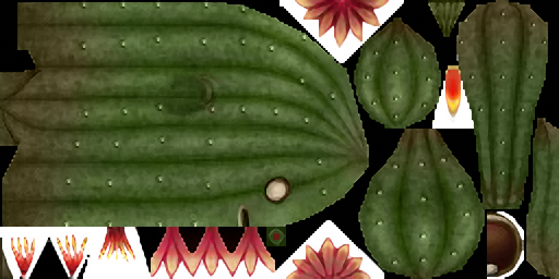 Flowering Cactoid