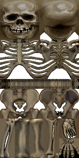 Skeleton