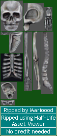 Skeleton