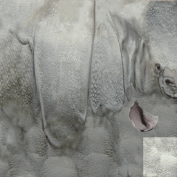 Rhino