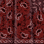Red Bandana