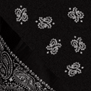 Black Rag