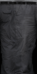 Gray Pants