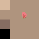 Hideout Mice
