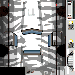 Sport Zebra